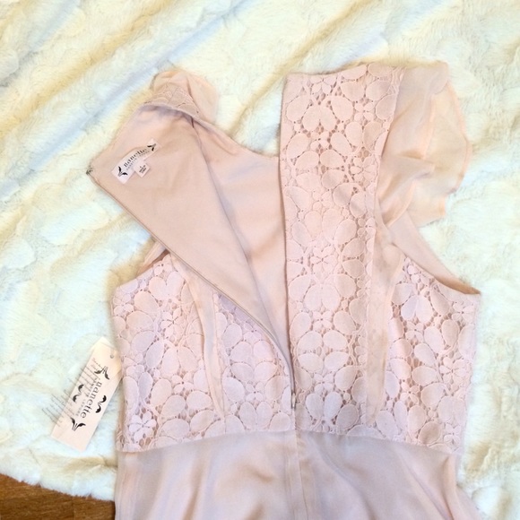 NWT Nanette Lepore Pale Pink Fit and Flare - Picture 3 of 5